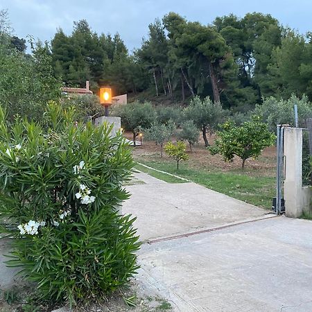 Askalosia Villa Áyios Yeóryios Buitenkant foto