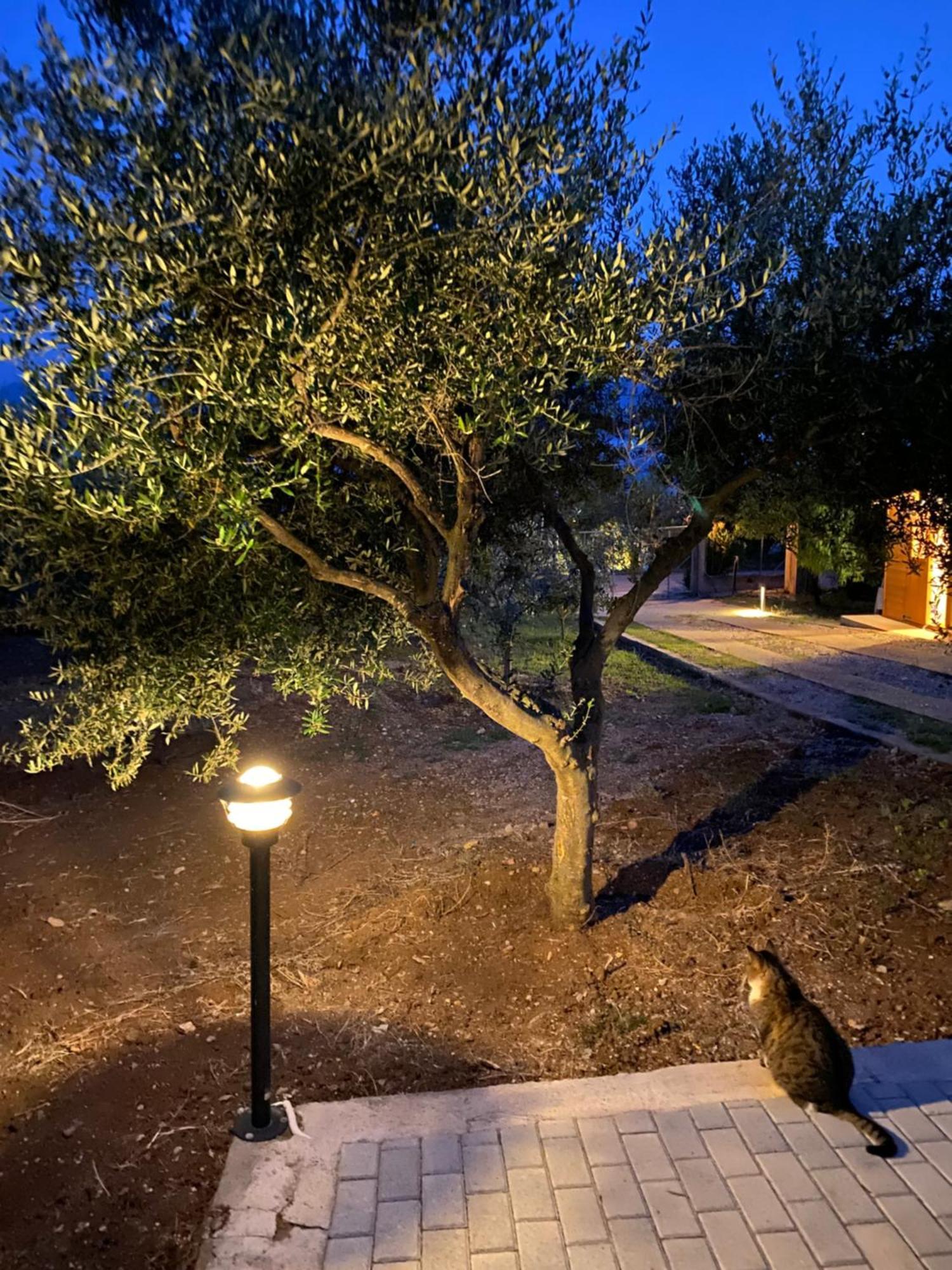 Askalosia Villa Áyios Yeóryios Buitenkant foto